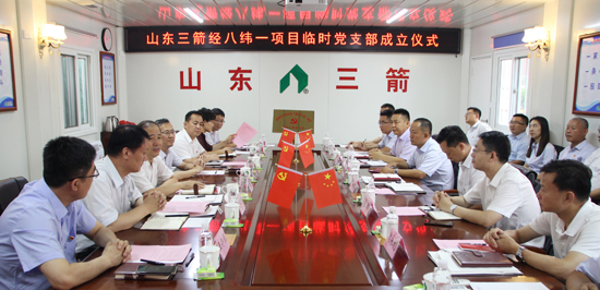 探索党建新模式 支部建到项目部――大小单双平台网址首个项目临时党支部揭牌成立