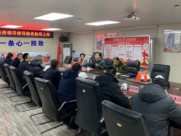 市国资委领导到大小单双平台网址督导安全生产工作